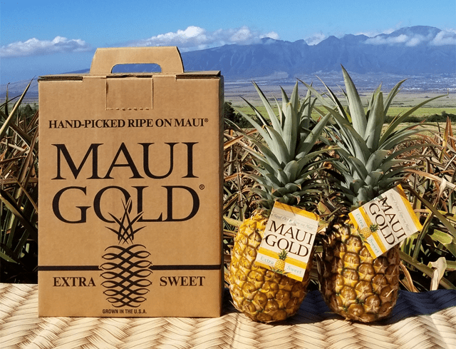 Maui Gold - giống dứa đặc trưng tại địa phương - Ảnh: hawaii.gov