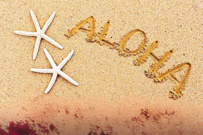 Aloha mang nhiều tầng nghĩa trong văn hóa Hawaii - Ảnh: psynapse.fr