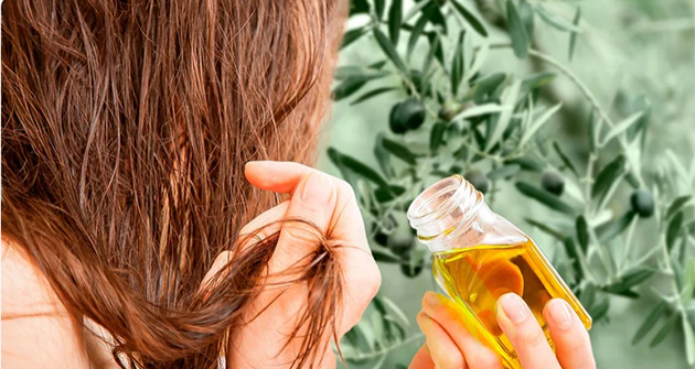 Dầu olive có nhiều tác dụng tố cho tóc