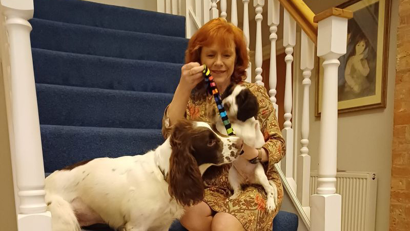 Bác sĩ Sarah Jarvis cho biết nuôi chó giúp vận động thường xuyên, giảm căng thẳng