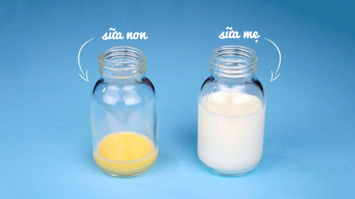 Với trẻ nhỏ, sữa non là nguồn protein và kháng thể tự nhiên hỗ trợ hệ miễn dịch khỏe mạnh