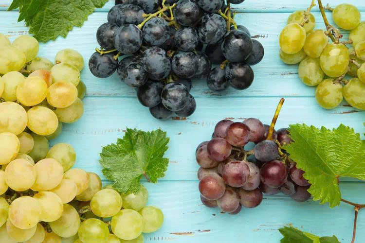 Người có hệ tiêu hóa nhạy cảm cần thận trọng khi tiêu thụ nho thường xuyên