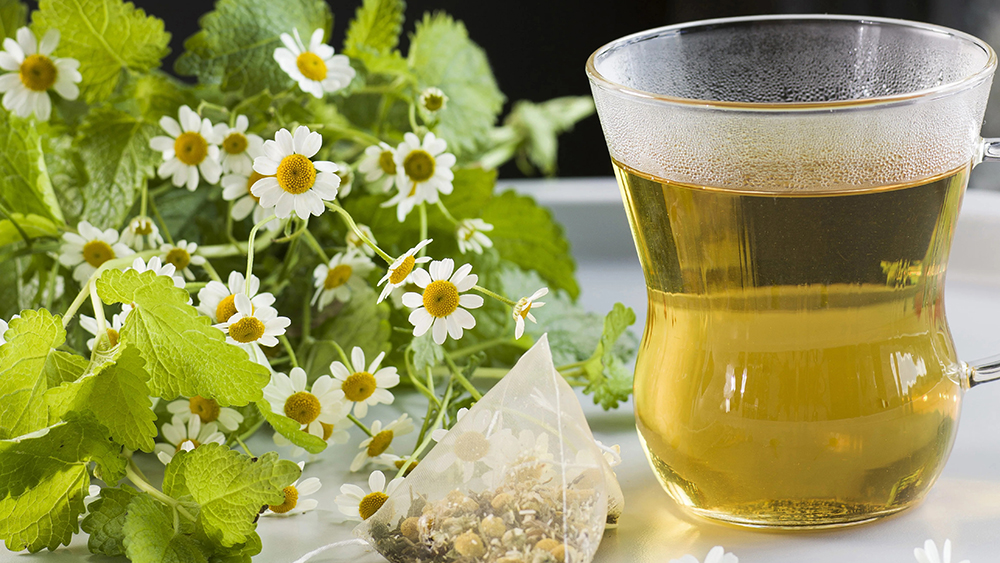 Hoa cúc La Mã có tác dụng thư giãn, hỗ trợ quá trình phục hồi do đau nhức cơ bắp