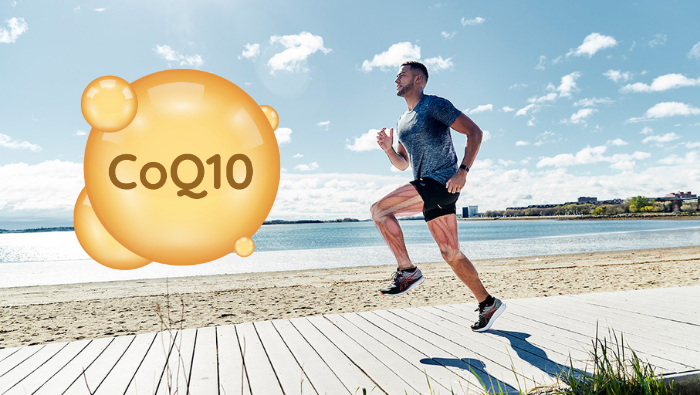 Coenzyme Q10 giúp hỗ trợ chức năng ty thể, giảm mệt mỏi và tăng khả năng phục hồi cơ bắp cho runner chạy cự ly dài
