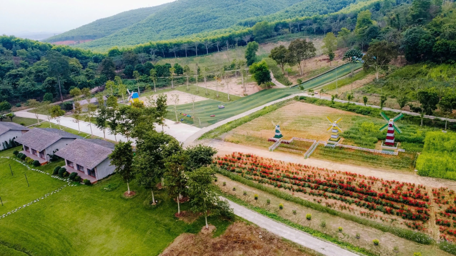 Nhiều địa điểm hấp dẫn tại Nghệ An đang chờ bạn khám phá - FB Thung lũng hoa Phủ Quỳ