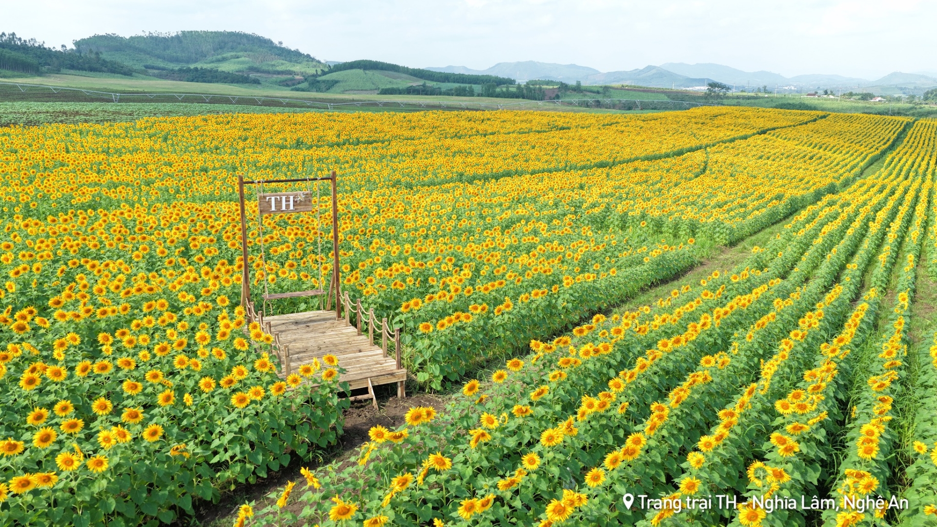 Đây là địa điểm tham quan hút khách dịp cuối năm - Ảnh: TH true MILK