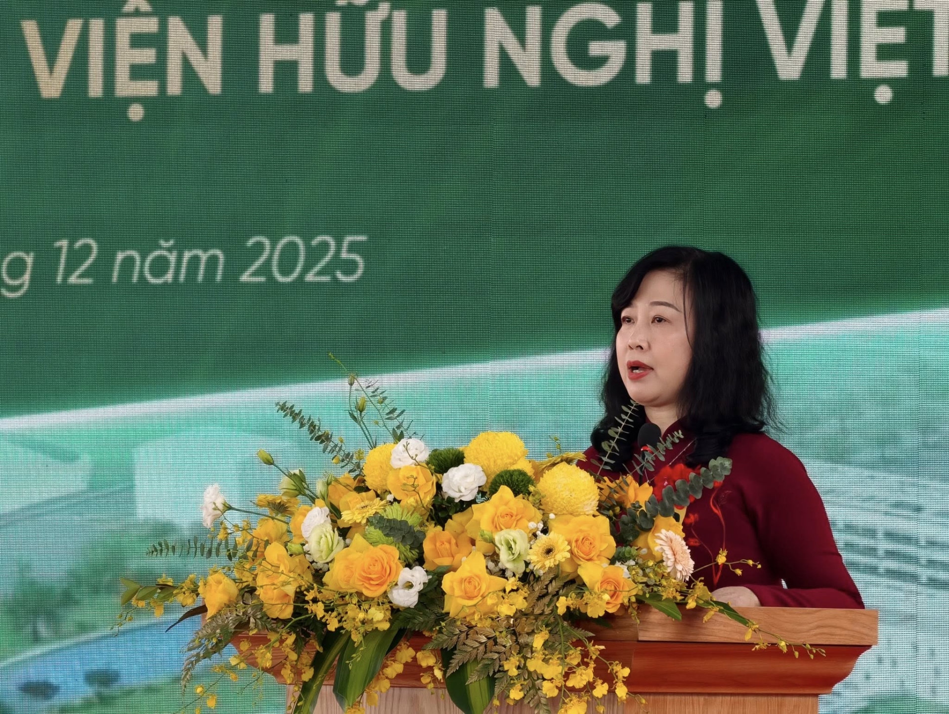 Bộ trưởng Bộ Y tế Đào Hồng Lan phát biểu tại lễ khánh thành