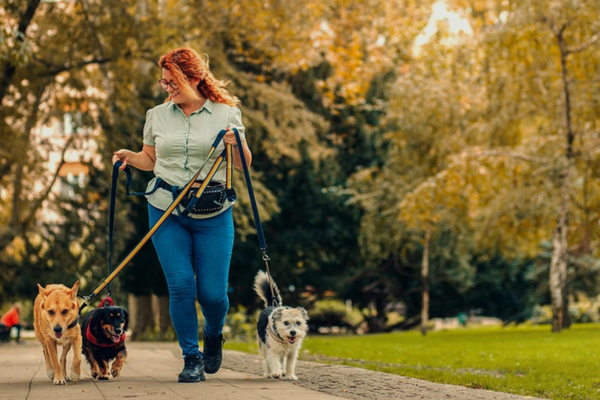 Trên thực tế, ở một số quốc gia phát triển còn xuất hiện loại hình dịch vụ: Nghề dắt cún đi dạo