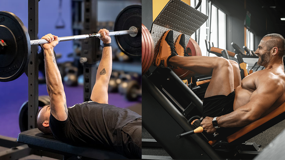 Vận động viên bổ sung chiết xuất rễ vàng có thể nâng mức tạ tối đa khi tập bài Bench Press và Leg Press