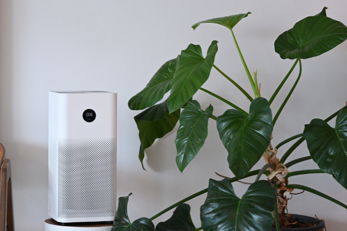 Ăn gì, làm gì để bảo vệ lá phổi giữa vòng vây bụi mịn? - Ảnh 8