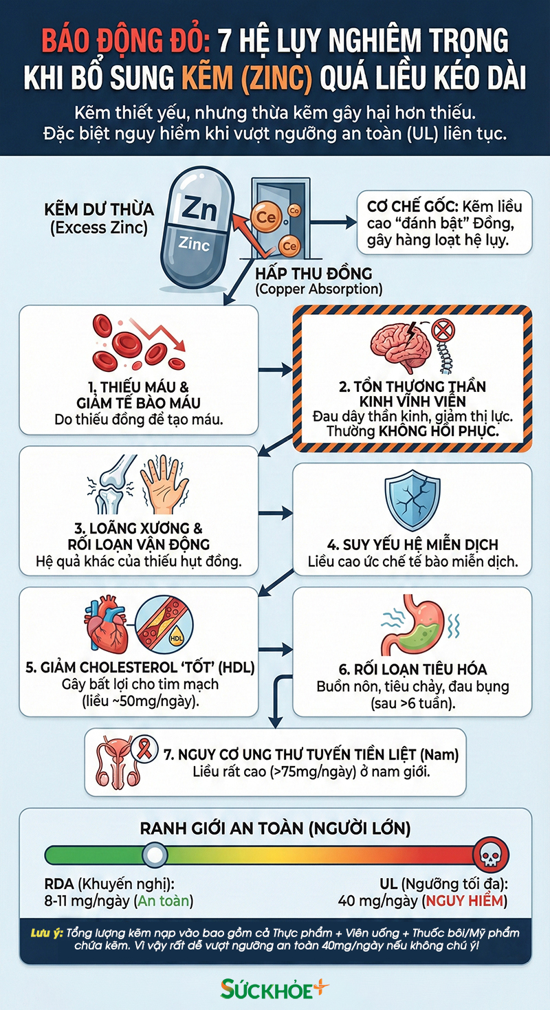 infographic-kem-du-thua