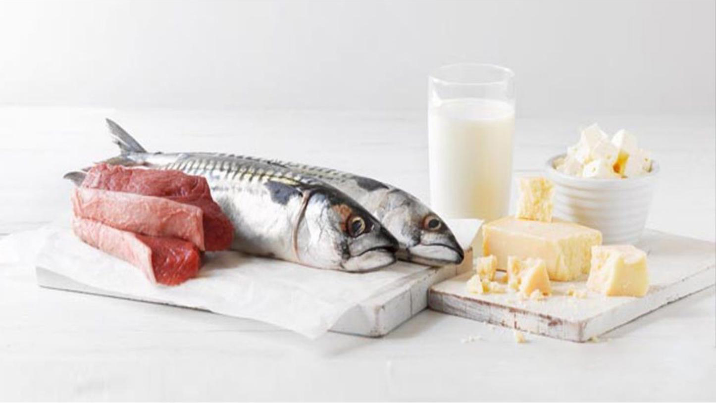 Cá béo và các chế phẩm từ sữa cung cấp nguồn chất đạm giúp cơ bắp nhanh phục hồi