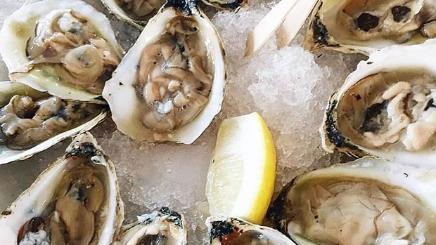 Nhiều đợt bùng phát dịch Norovirus thường liên quan đến món hàu sống