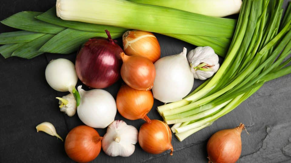 Các loại hành, tỏi cực kỳ nguy hại với loài chó