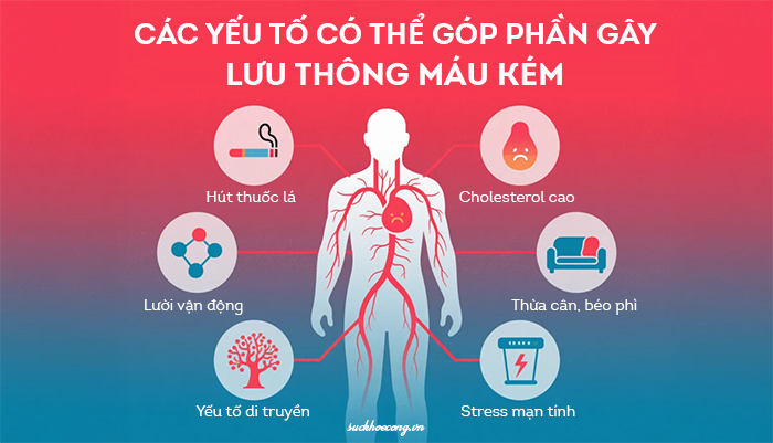 ITK-Luu thong mau kem