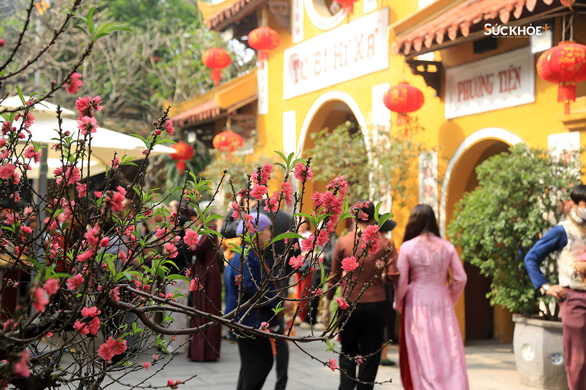 Đi lễ chùa đầu năm đã trở thành một nét đẹp văn hóa được gìn giữ qua nhiều thế hệ của người Việt. Giữa nhịp sống tất bật, tìm về không gian thanh tịnh nơi cửa Phật giúp người ta nhẹ lòng, an yên hơn.