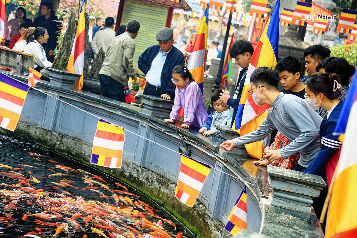 Các bạn nhỏ đang cho cá ăn tại chùa Hà (Cầu Giấy, Hà Nội). Theo quan niệm dân gian, việc cho cá, chim ăn hay thực hiện phóng sinh được xem là cách gieo duyên lành, tích phúc cho bản thân và gia đình.