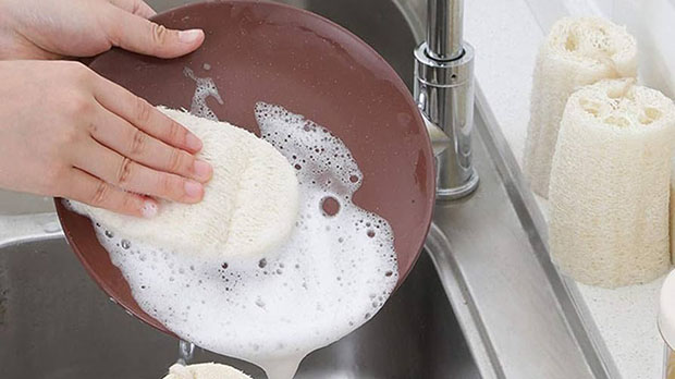 Bọt biển rửa bát có thể chứa hàng tỷ vi khuẩn như E.coli, Salmonella nếu không được vệ sinh và thay mới định kỳ
