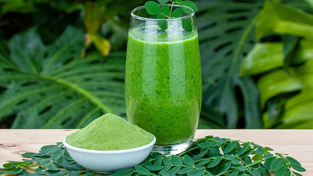 Bột chùm ngây pha nước ấm hoặc sinh tố được nhiều người lựa chọn như đồ uống thay cà phê