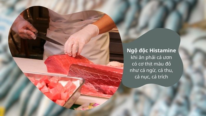 Quá trình bảo quản nhiệt độ cao làm vi khuẩn sản sinh enzyme chuyển hóa acid amino histidine có sẵn trong thịt cá thành histamine