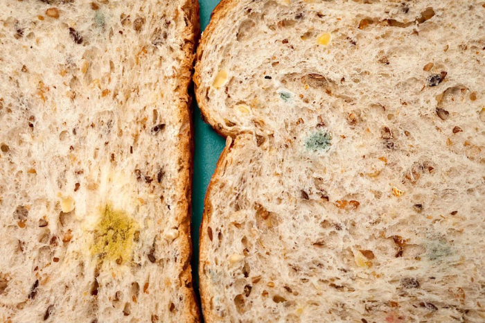 Càng tiếp xúc lâu với không khí, nguy cơ bánh mì bị mốc càng cao