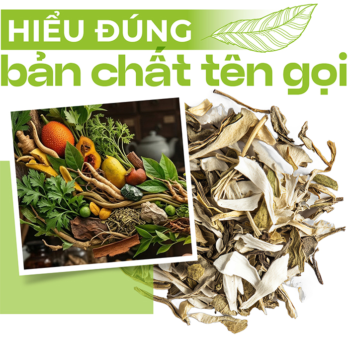 SK+ Thuoc nam - thuoc bac-04