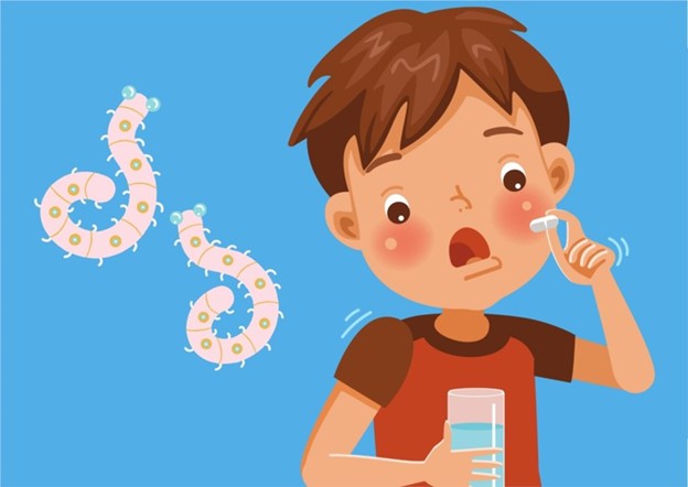 Nên tẩy giun định kỳ để phòng sỏi đường mật trong gan