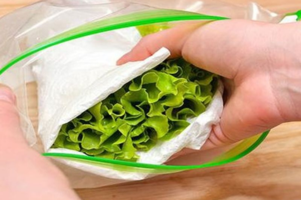 Cách bảo quản rau đúng giúp kéo dài thời gian tươi xanh 