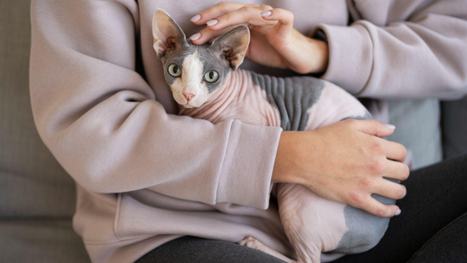 Nhiều người lầm tưởng rằng chỉ cần chọn giống chó mèo ít rụng lông là sẽ không bị dị ứng