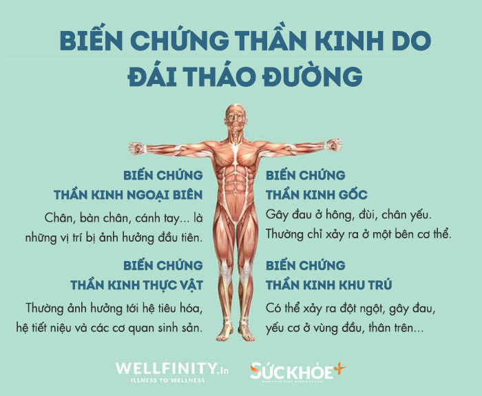 HTD-Ton thuong than kinh