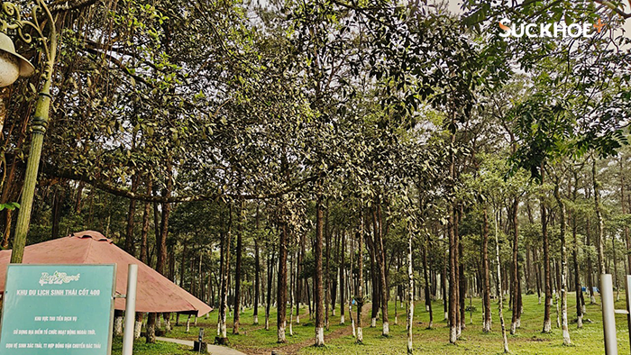 Điểm đến “tránh nóng” cho kỳ nghỉ ngắn ngày tại Hà Nội - Ảnh 9