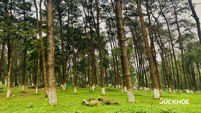 Điểm đến “tránh nóng” cho kỳ nghỉ ngắn ngày tại Hà Nội - Ảnh 12