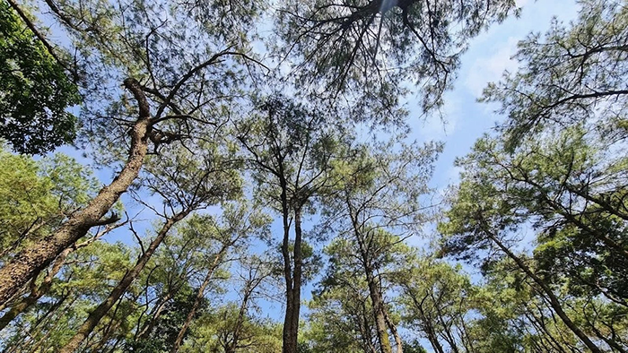 Điểm đến “tránh nóng” cho kỳ nghỉ ngắn ngày tại Hà Nội - Ảnh 2