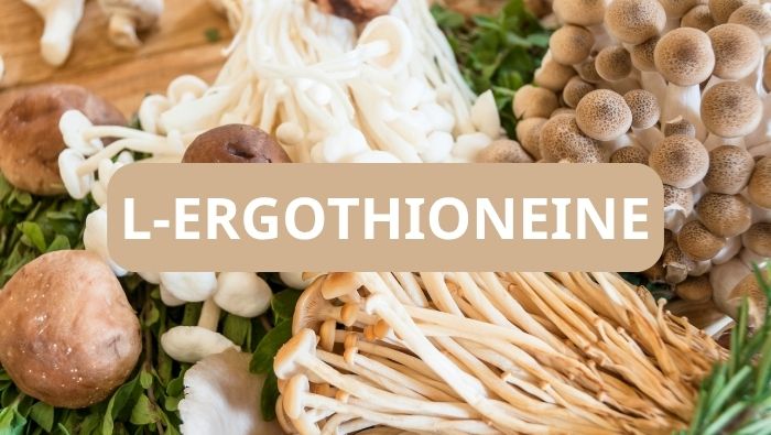 Các loại nấm chứa hàm lượng L-ergothioneine dồi dào giúp hỗ trợ giảm đau bụng kinh thông qua cơ chế chống oxy hóa