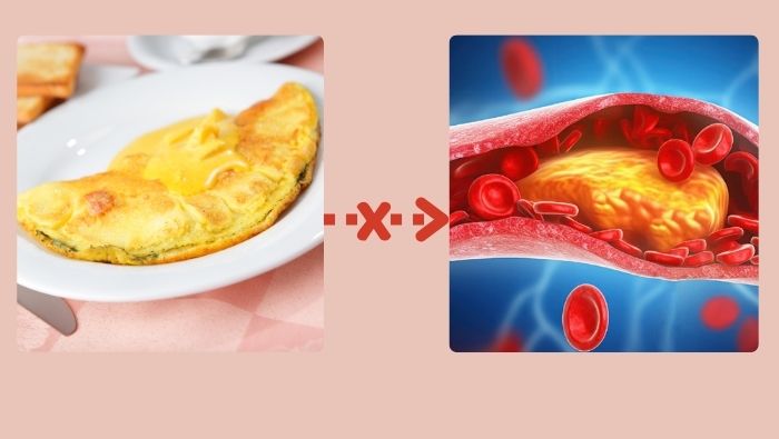 Nhiều nghiên cứu mới khẳng định việc ăn trứng mỗi ngày không gây hại cho mức cholesterol như các quan niệm cũ