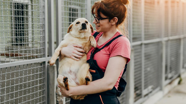 Nuôi thú cưng nhận nuôi giúp tiết kiệm chi phí và góp phần giảm áp lực cho các trạm cứu hộ tại Việt Nam