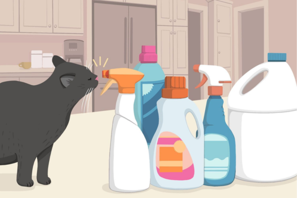 Không chỉ ngộ độc với thực phẩm của người, mèo cưng còn có thể vô tình ngộ độc với một số hoá chất gia dụng.