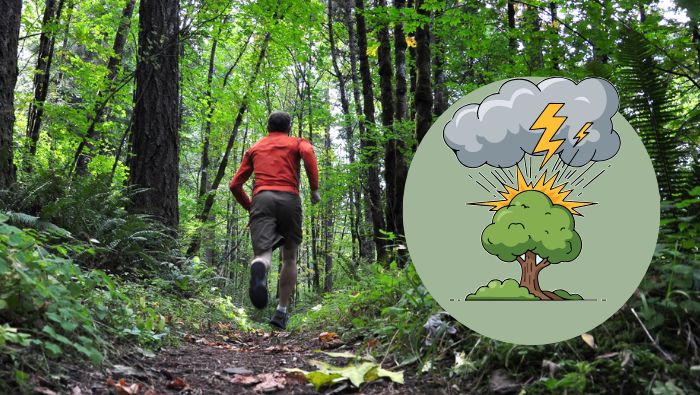 Tuyệt đối không trú ẩn dưới gốc cây hoặc những vật thể cao đơn độc