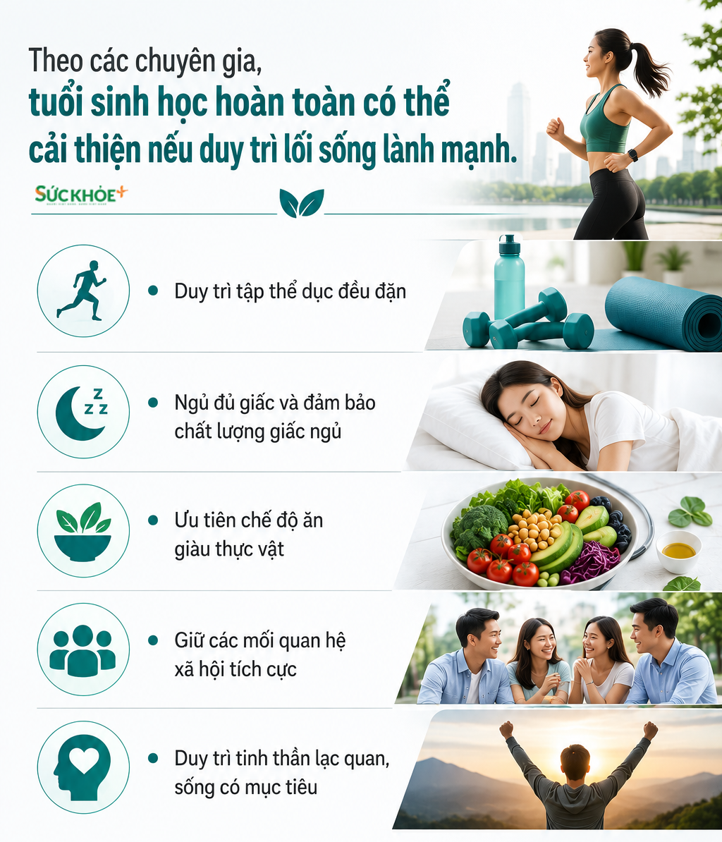 cham-loa-hoa-loi-song-10583947-260525105839