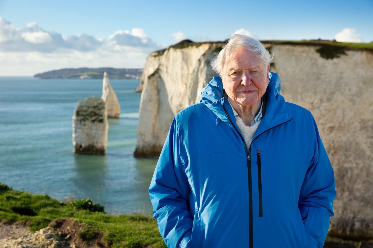 Bộ phim tài liệu Ocean (Đại dương của chúng ta) có sự tham gia của ông David Attenborough cảnh báo về những tác động của con người đến môi trường biển