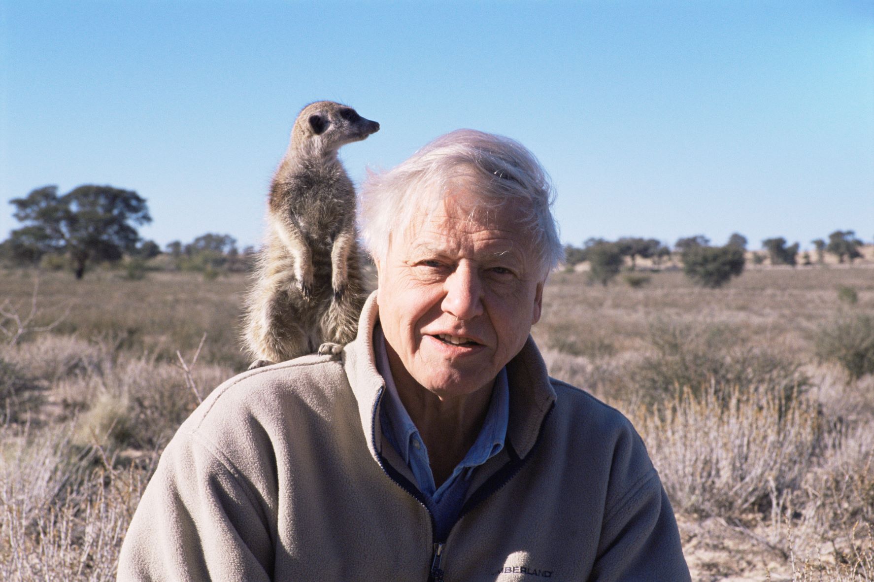 David Attenborough sử dụng phim tài liệu để đấu tranh để bảo vệ các loài động vật - Ảnh: Naturepl.com