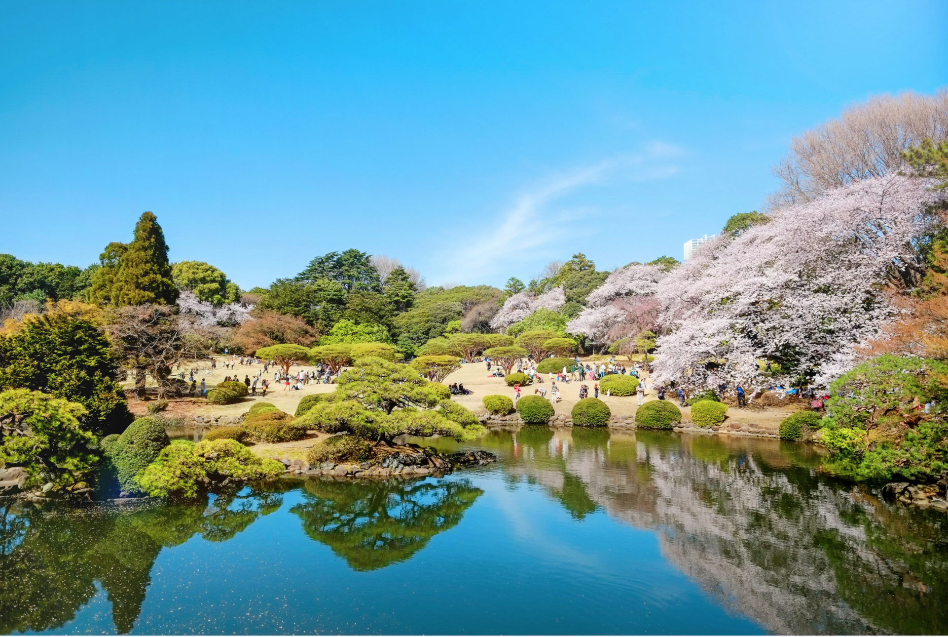 Công viên Shinjuku Gyoen là điểm thư giãn quen thuộc của người dân Tokyo - Ảnh: Time Out