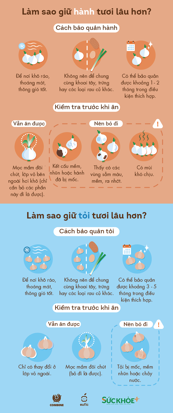 hanh-toi