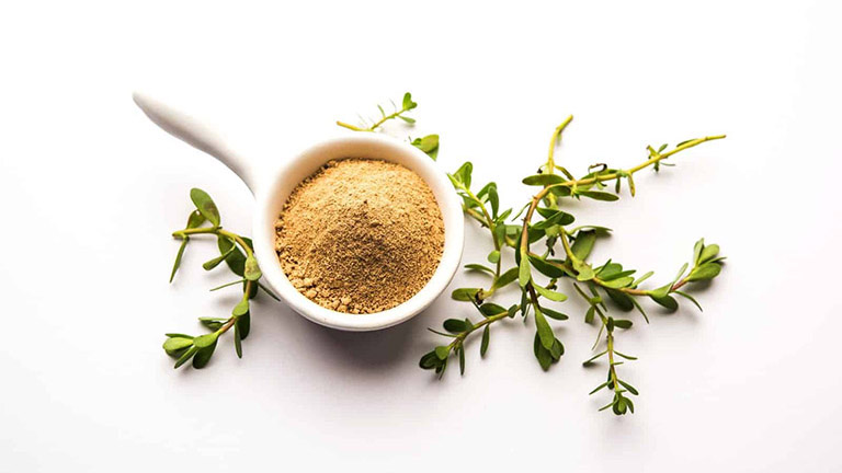 Rau đắng biển có công dụng bảo vệ hệ thần kinh, tăng cường trí nhớ