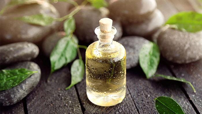 5 mùi hương quen thuộc trong không gian sống người Nhật - Ảnh 2