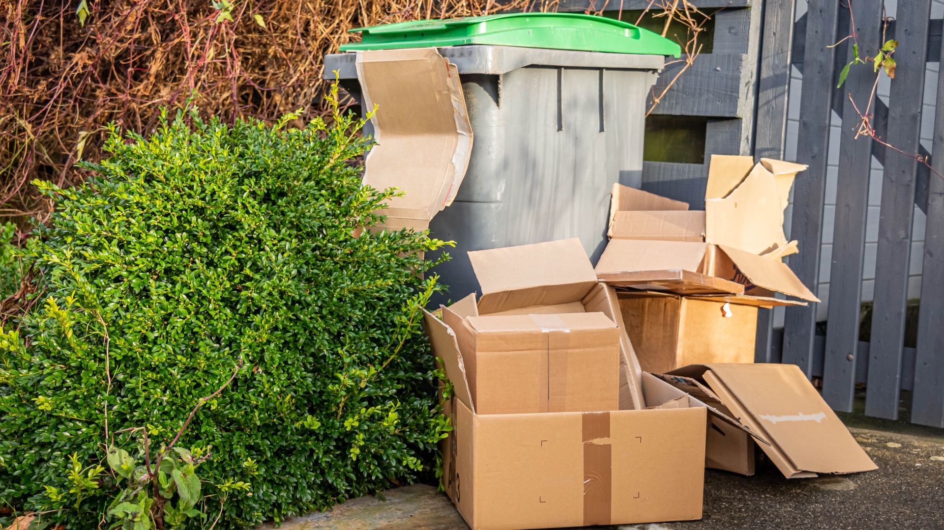 hùng giấy carton để ngoài trời lâu ngày có thể trở thành nơi côn trùng ẩn náu