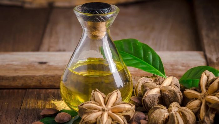 Dầu hạt sacha inchi cung cấp nguồn acid béo cân bằng cho cơ thể