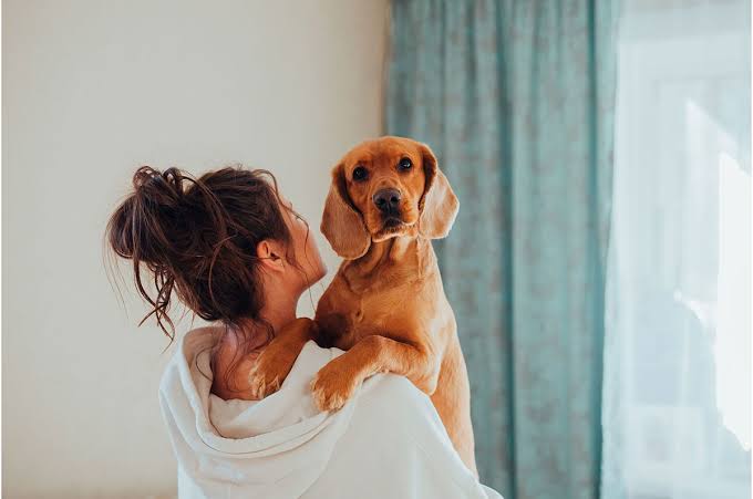 Nuôi chó không chỉ là sở thích, mà còn đi kèm trách nhiệm lâu dài