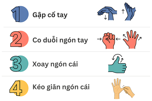 Một số bài tập giãn cơ cho bàn tay