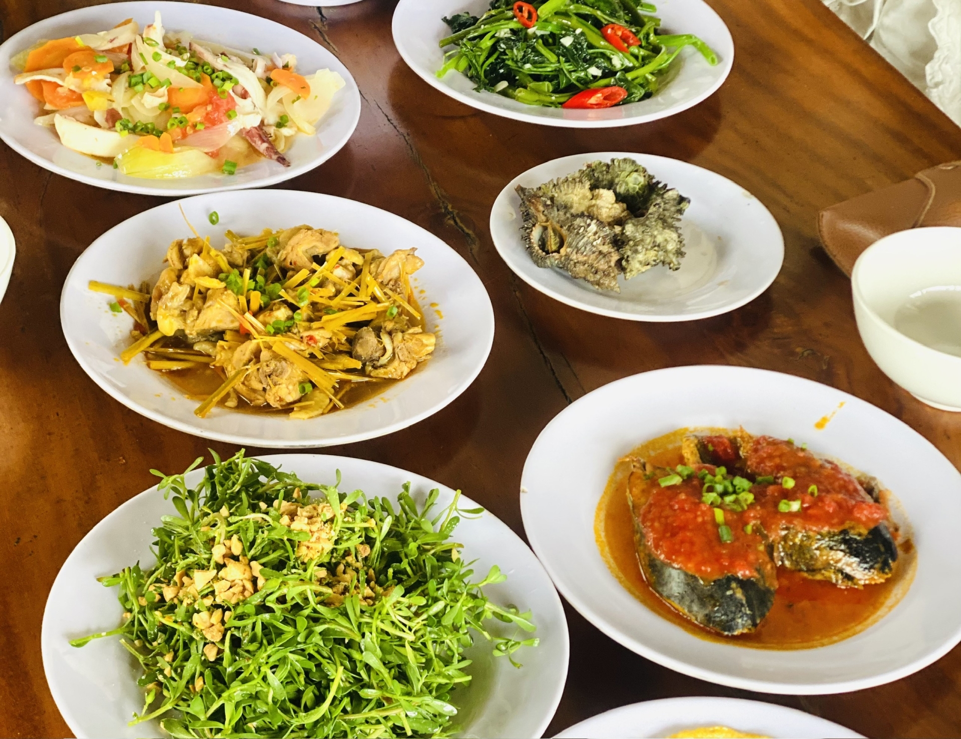 Một bữa cơm nhà ở Cù Lao Chàm với rau đắng trộn, thịt gà, cá, mực và ốc sư tử...- Ảnh: Đào Dung/Sức khỏe+